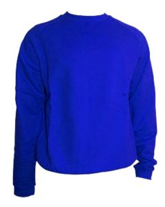 Royal Blue Sweatshirt