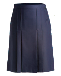 Navy Skirt