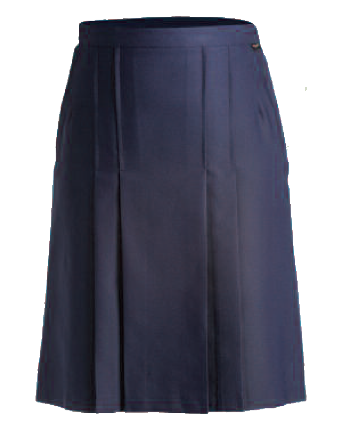  Navy Skirt