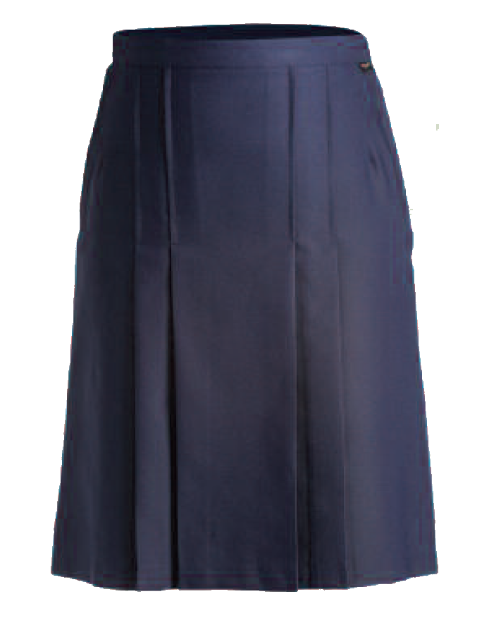  Navy Skirt (T22)
