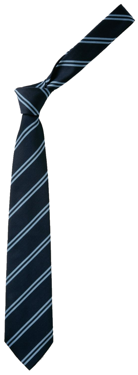  Tie Navy/ double sky stripe